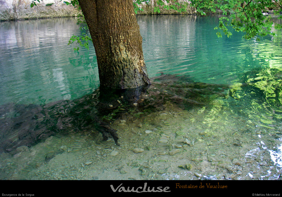 20080619_146