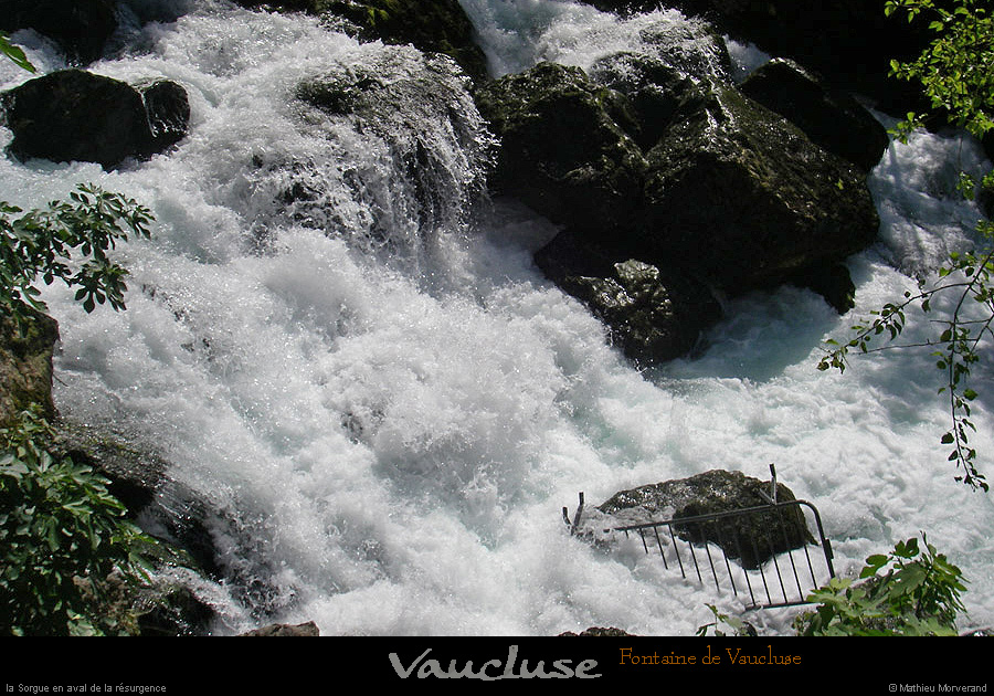 20080619_156