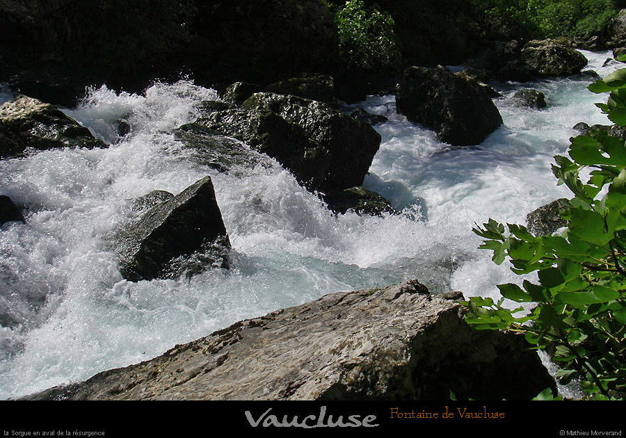 20080619_157
