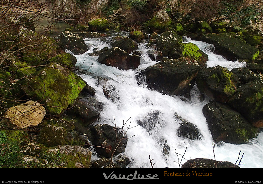 20150215_fontainevaucluse_riv1