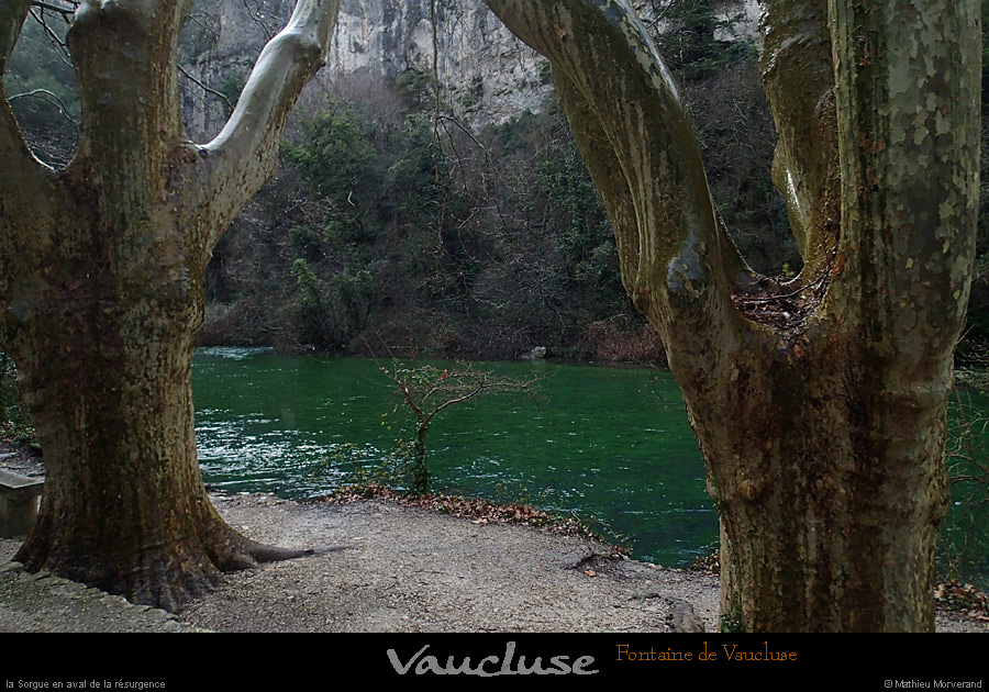 20150215_fontainevaucluse_riv3