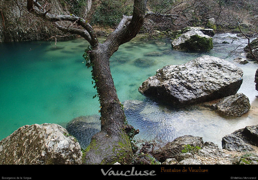 20150215_fontainevaucluse_vasque03.jpg
