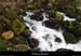 20150215_fontainevaucluse_riv1