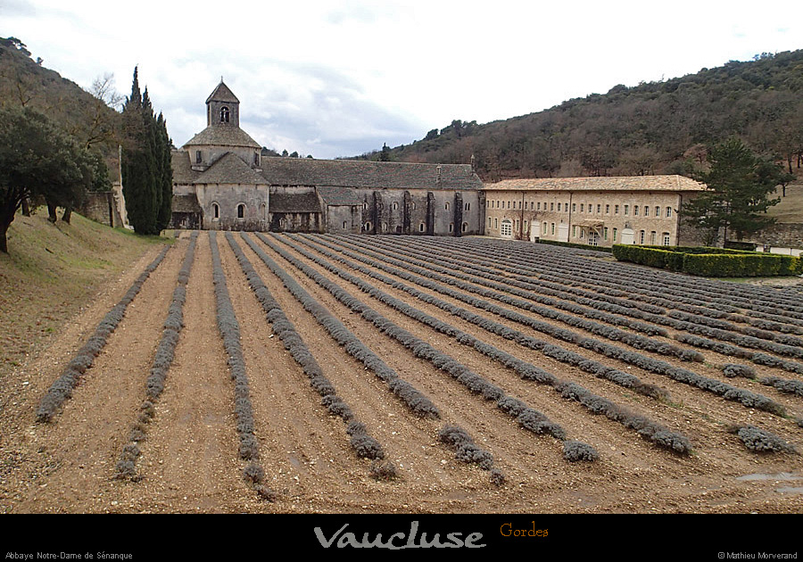 20150215_abbayedesenanque4