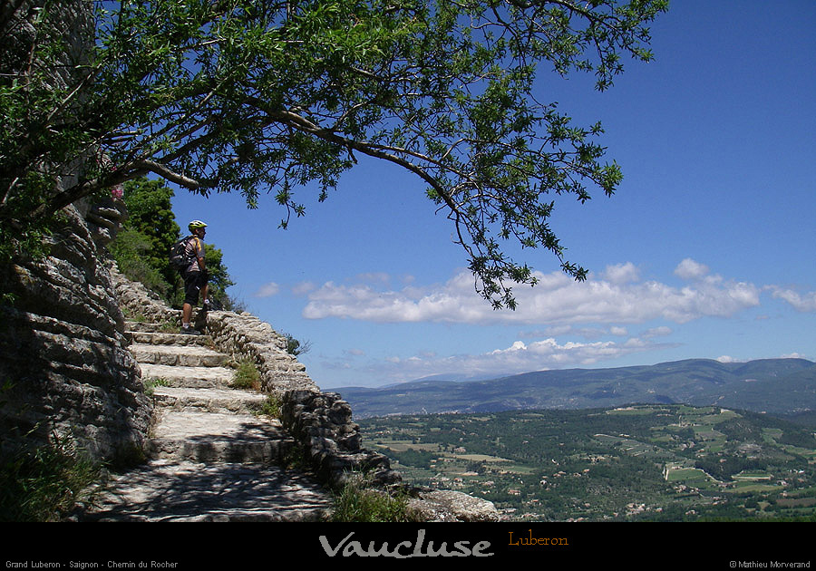20080618_193