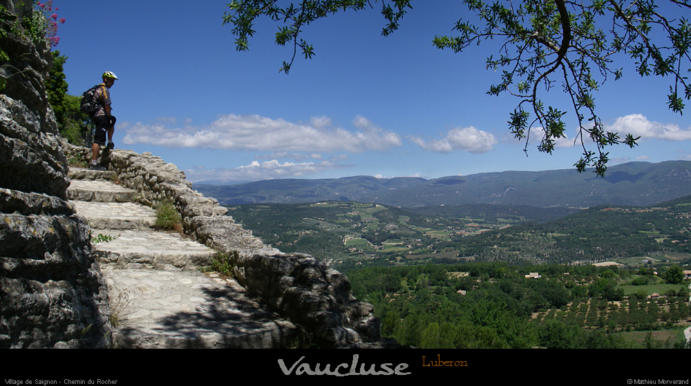 20080618_194