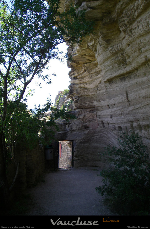 20080618_203