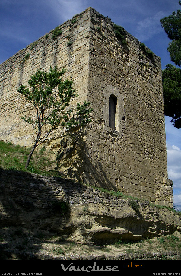 20080618_263
