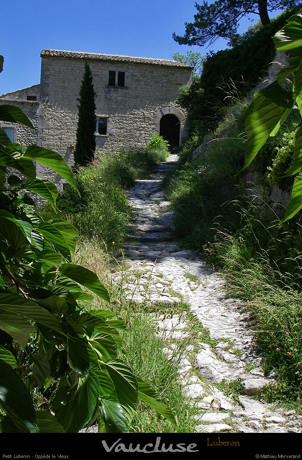 20080619_102