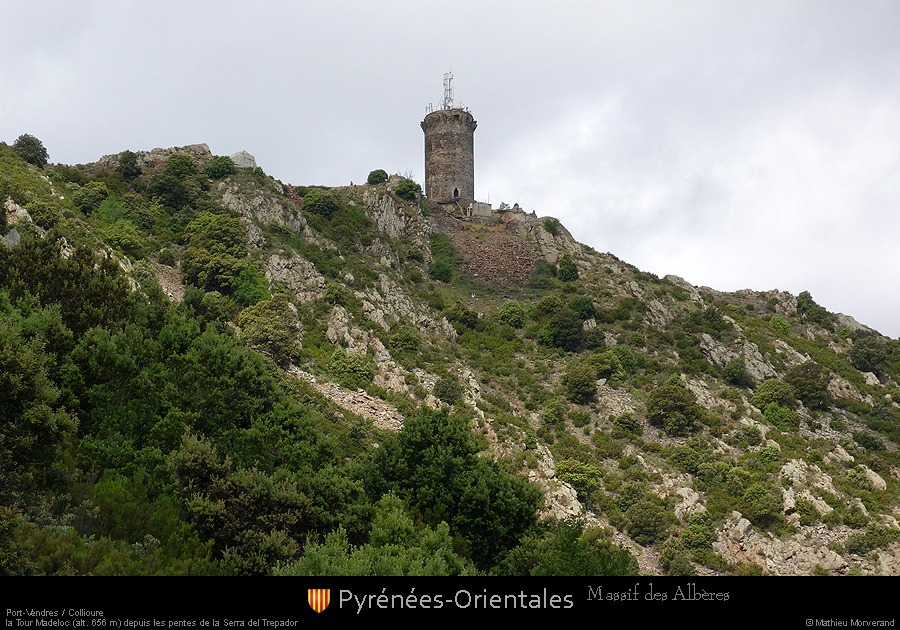 20190612_alberespentesssmadeloc6