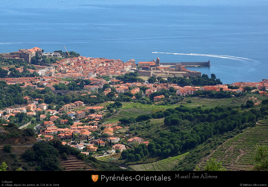 20190612_colliouresdepuisalberes1