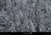 20130202_74bauges_seythenexsambuy_boisdemontriond2