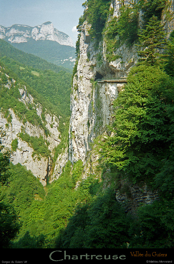 20020619_gorgesduguiersvif