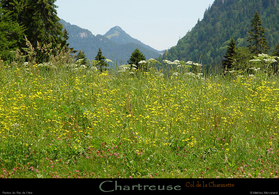 20020708_coldelacharmette_verslenord_3