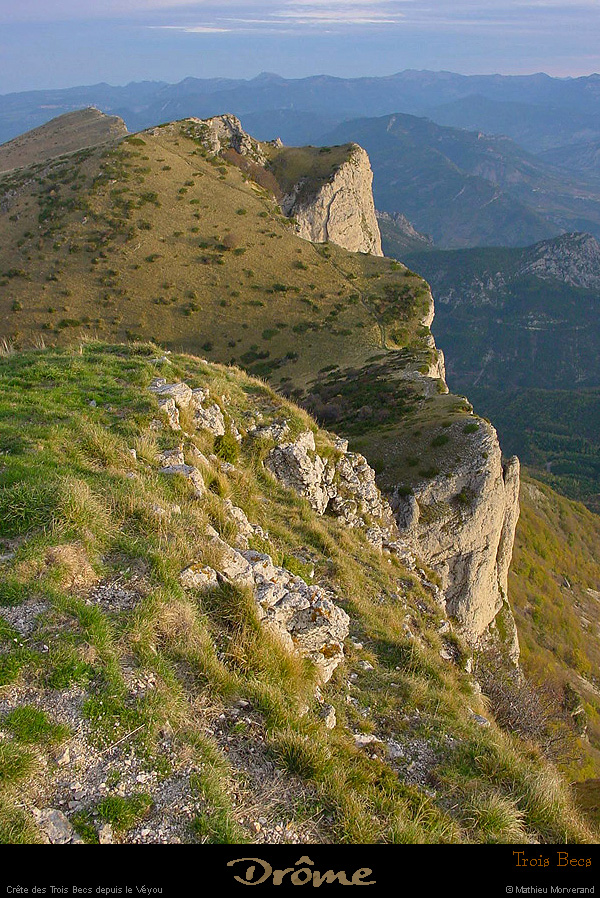 20011023_lestroisbecs_creteest_1