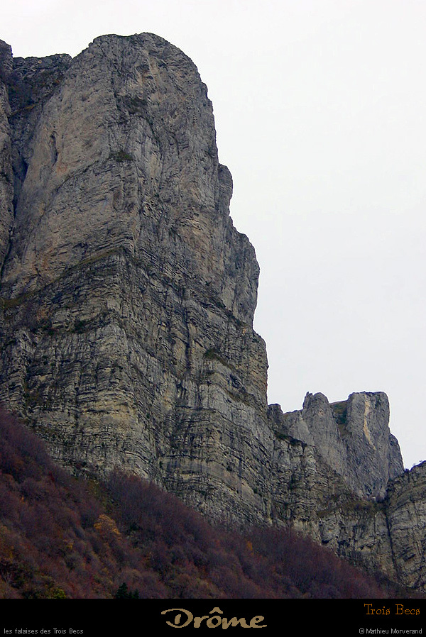 20021025_troisbecs_signaletveyou