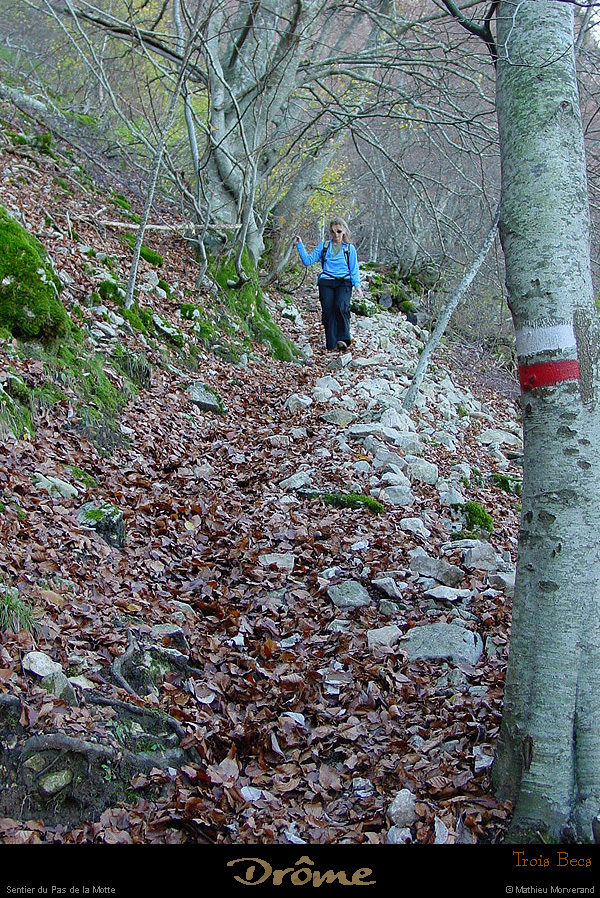 20021026_troisbecs_gr_christelle_5