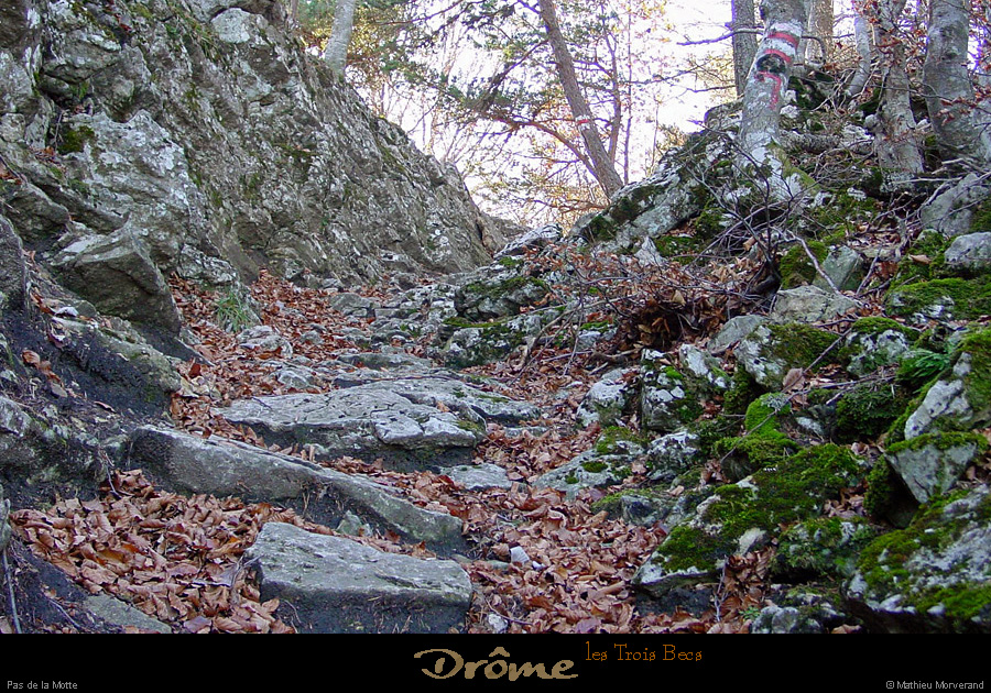 20021026_troisbecs_pasdelamotte