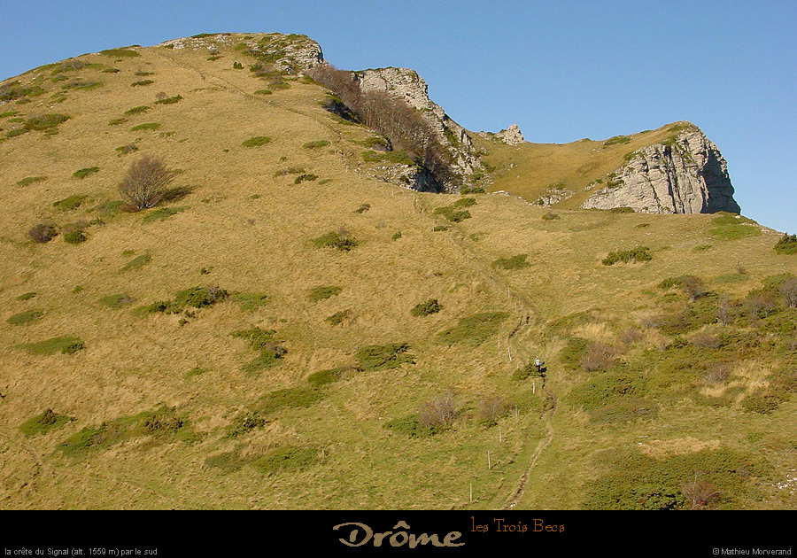 20021026_troisbecs_signal_christelle_1