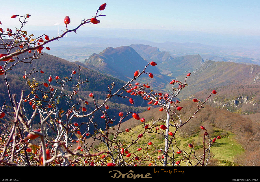 20021026_troisbecs_vallondesaou_1