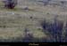 20011023_lestroisbecs_chamois