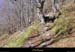20021026_troisbecs_chemin_partieboisee