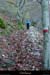 20021026_troisbecs_gr_christelle_5