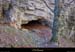 20021026_troisbecs_troudelapelle_grotte