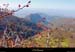 20021026_troisbecs_vallondesaou_1