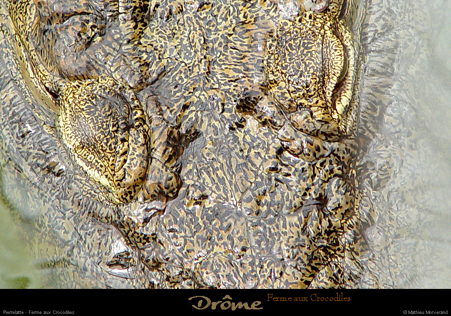 20020714_fermeauxcrocodiles_21