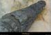 20020714_fermeauxcrocodiles_19