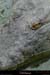 20020714_fermeauxcrocodiles_51