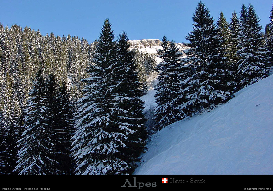 20020102_avoriaz_foret_03