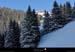 20020102_avoriaz_foret_03