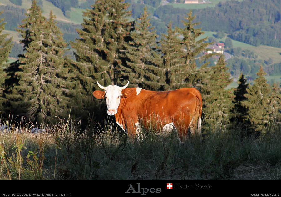 20110715_htesavoie_pentesptemiribel1