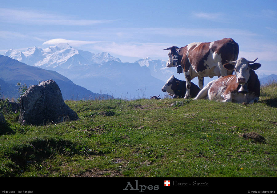 20110716_htesavoie_megevette_fanglesnord