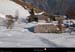 20190225_passyvaranhameau2