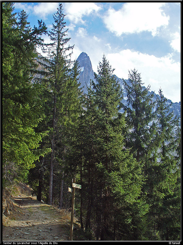 20041216_lavancher_05