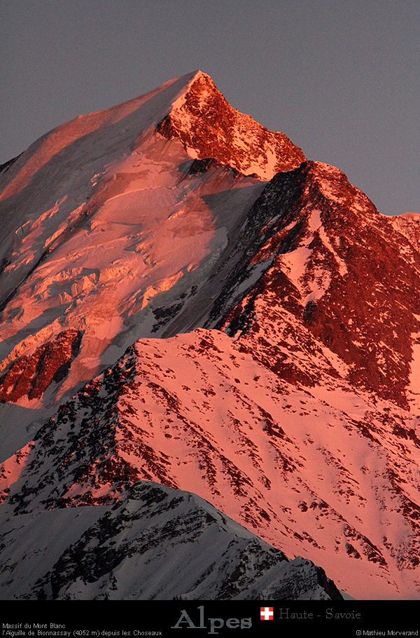 20190224_bionassayaiguille4