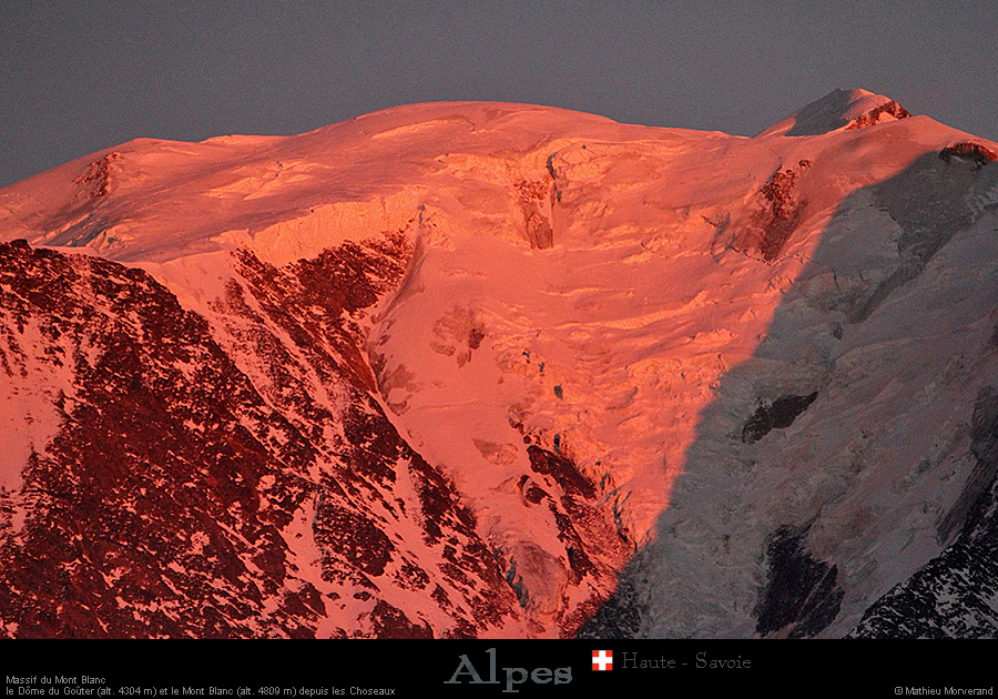 20190224_gouterdeschoseaux10