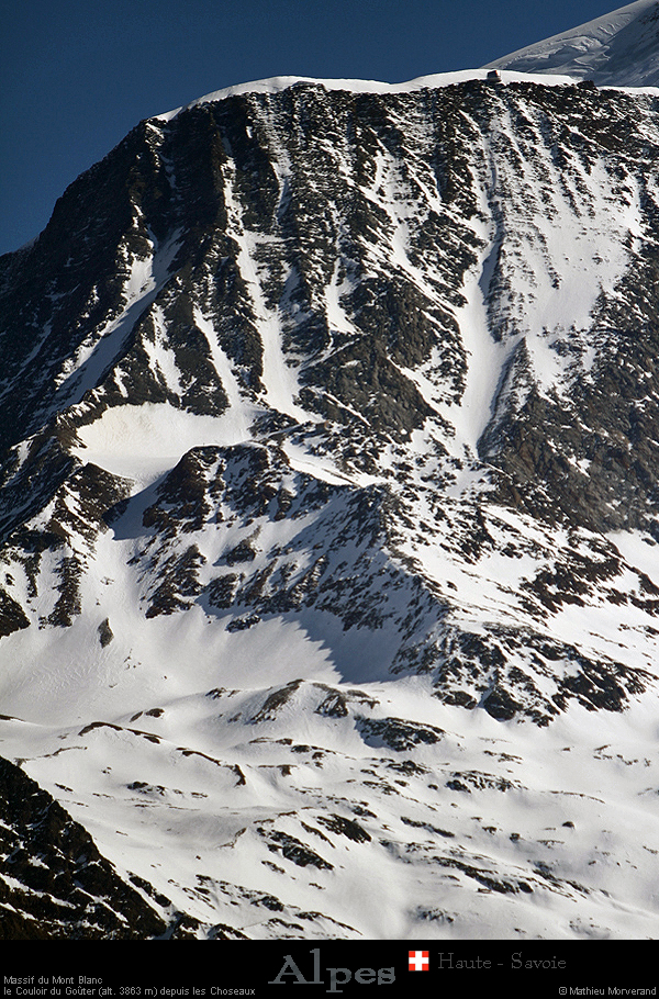 20190225_gouterdeschoseaux1