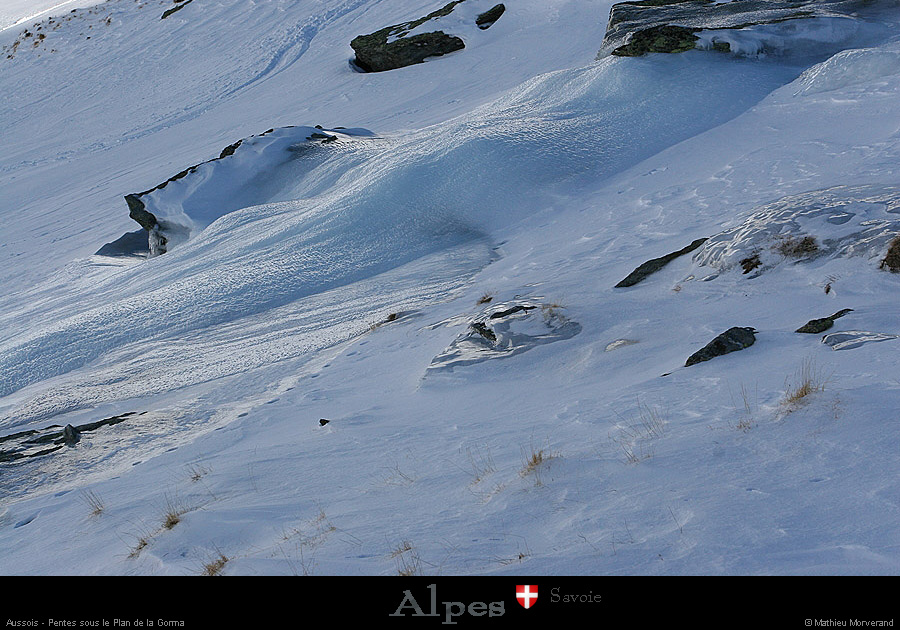 20050131_080_arrete_de_gorma_pentes_glace