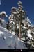 20050130_bois_de_sardieres_05