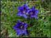 20040613_rando_lds10