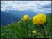 20040613_rando_lds12