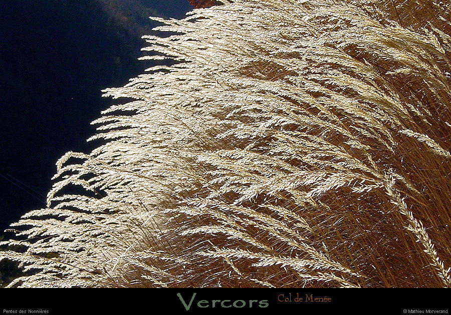 20020103_valleedemenee_htesherbes_3