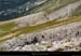 20020822_grdveymont_pentesouest_05