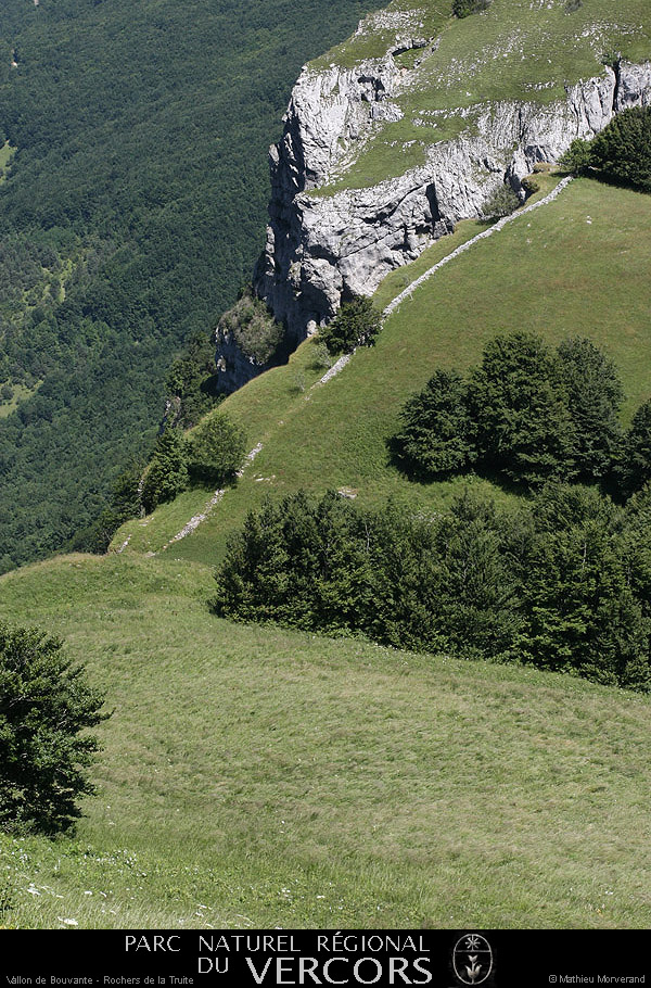 20080718_vallondebouvante_rerstruite3