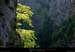 20011001_grandsgoulets_091