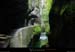 20011001_grandsgoulets_10